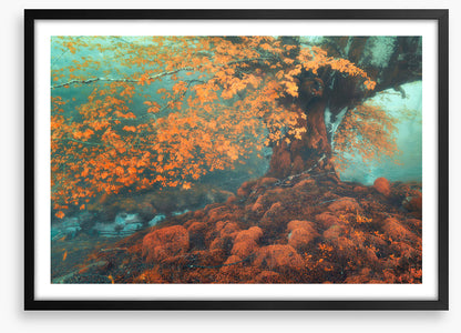 Fantasy in fall
