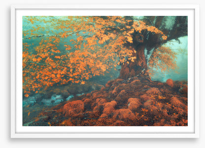 Fantasy in fall