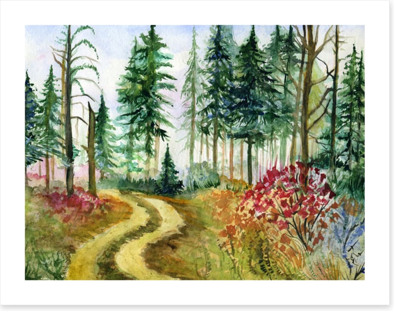 Path through the pines