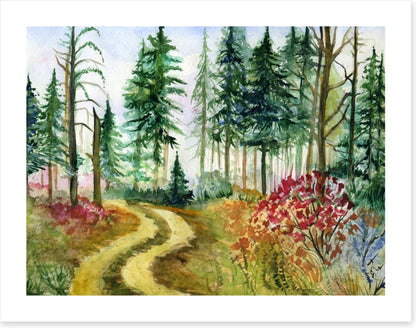 Path through the pines