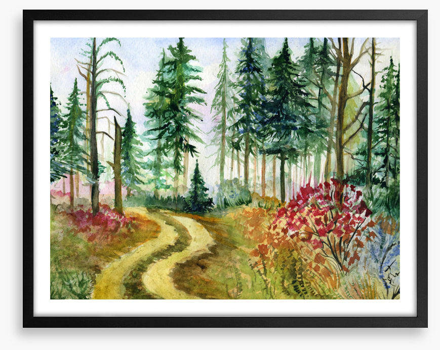Path through the pines