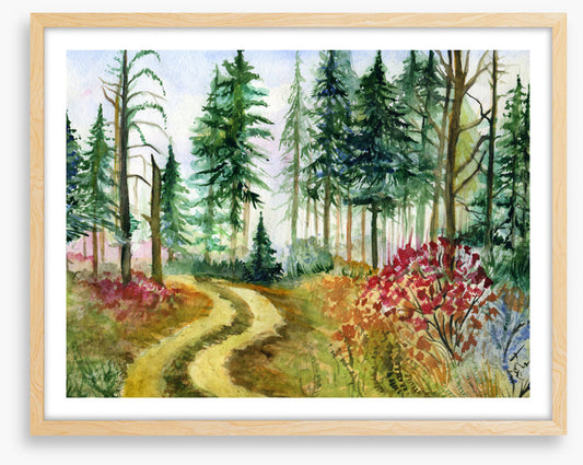 Path through the pines