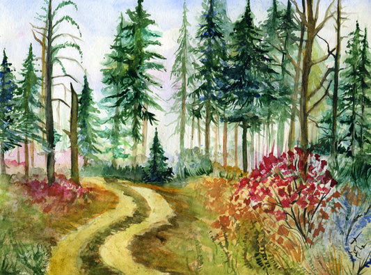 Path through the pines