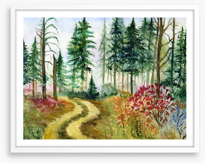Path through the pines