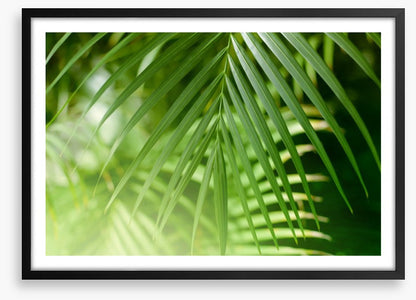 Palm leaf light