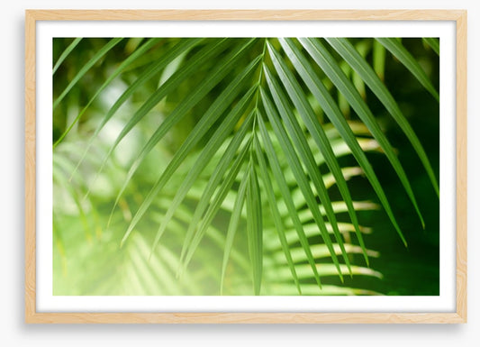 Palm leaf light