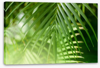 Palm leaf light