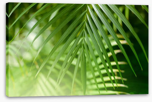 Palm leaf light
