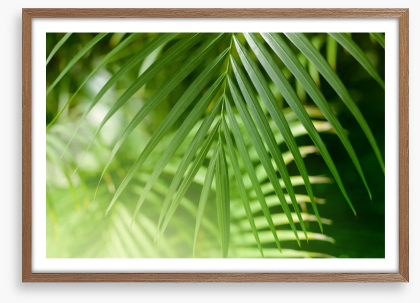 Palm leaf light