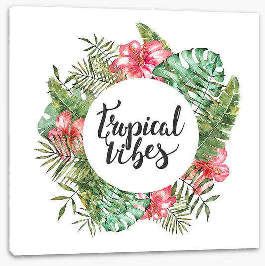 Tropical vibes