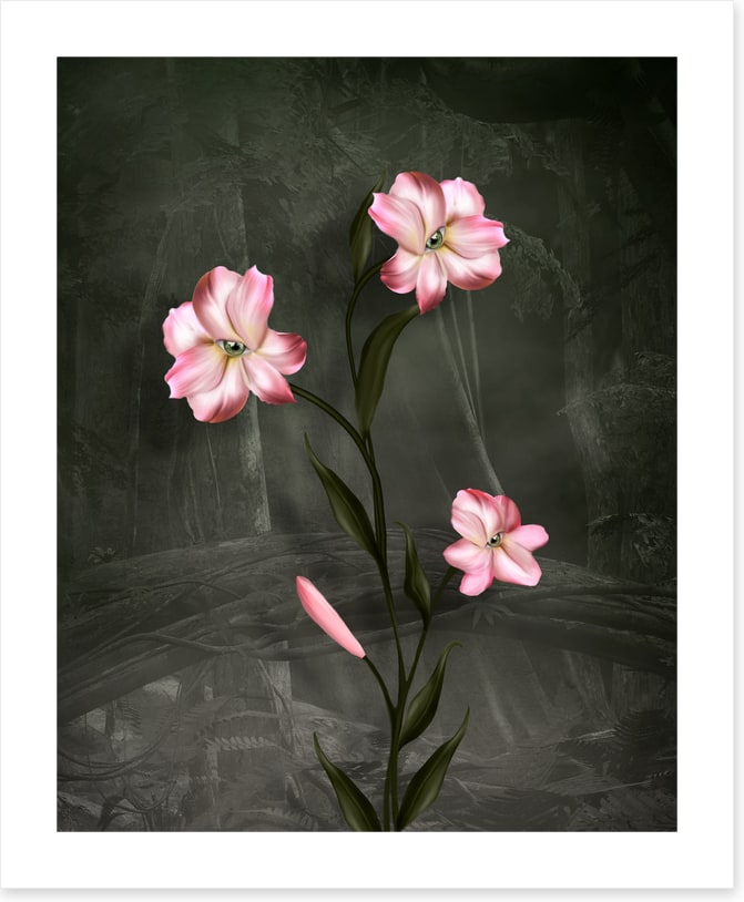 Peeping petals