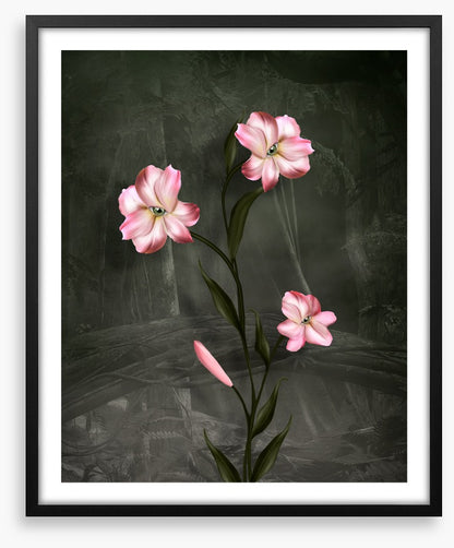 Peeping petals