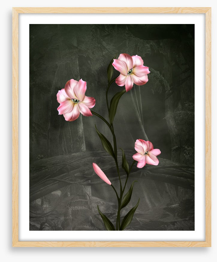 Peeping petals