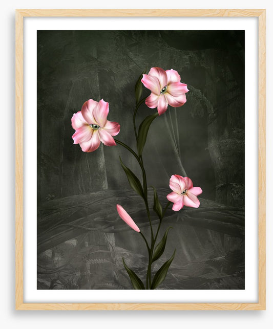 Peeping petals