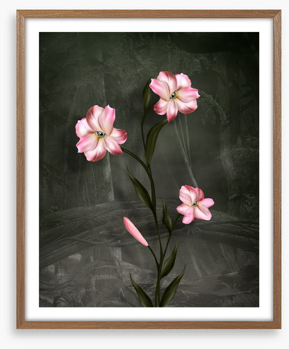 Peeping petals