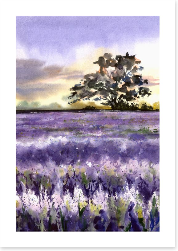 Purples of Provence