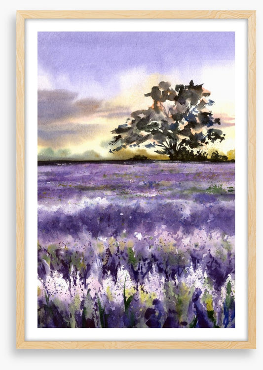 Purples of Provence