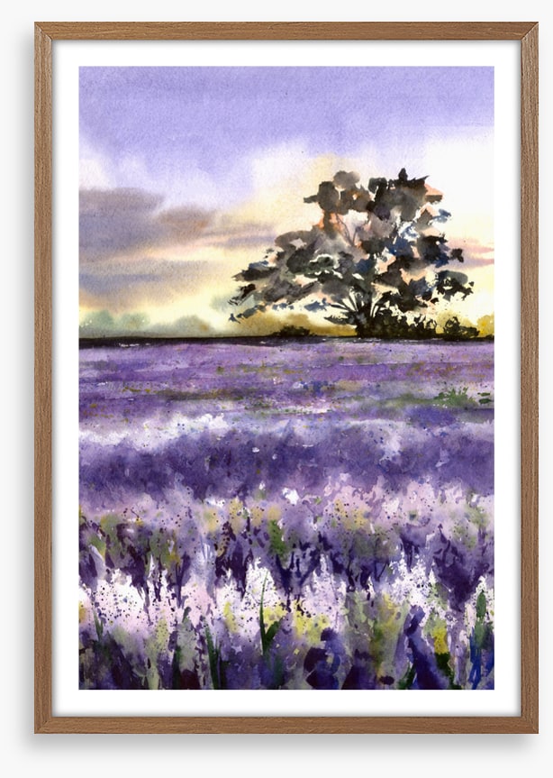 Purples of Provence