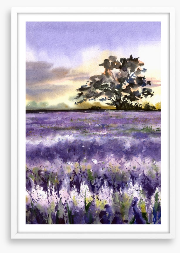 Purples of Provence