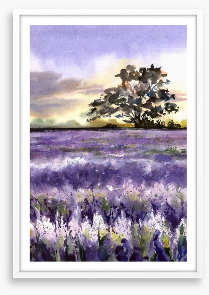 Purples of Provence