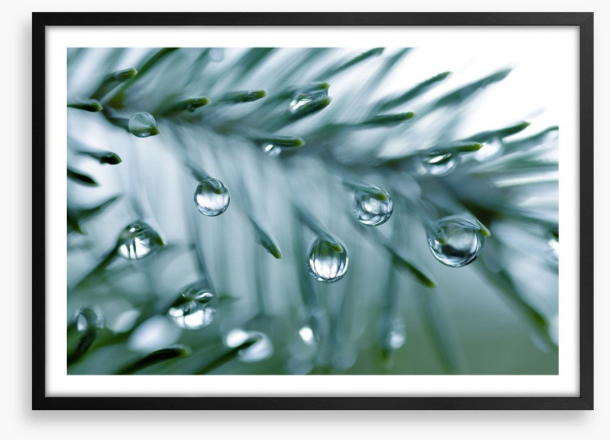 Pine drops