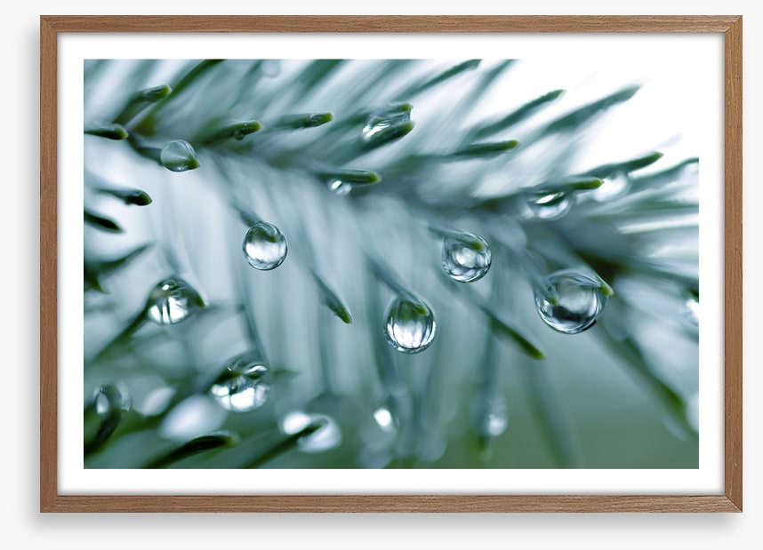 Pine drops