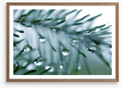 Pine drops