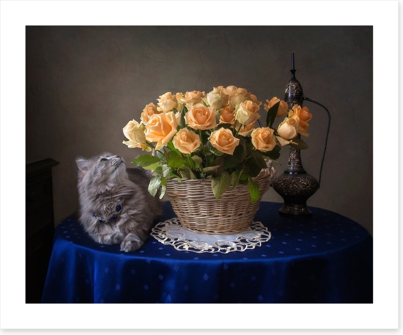 Still Life