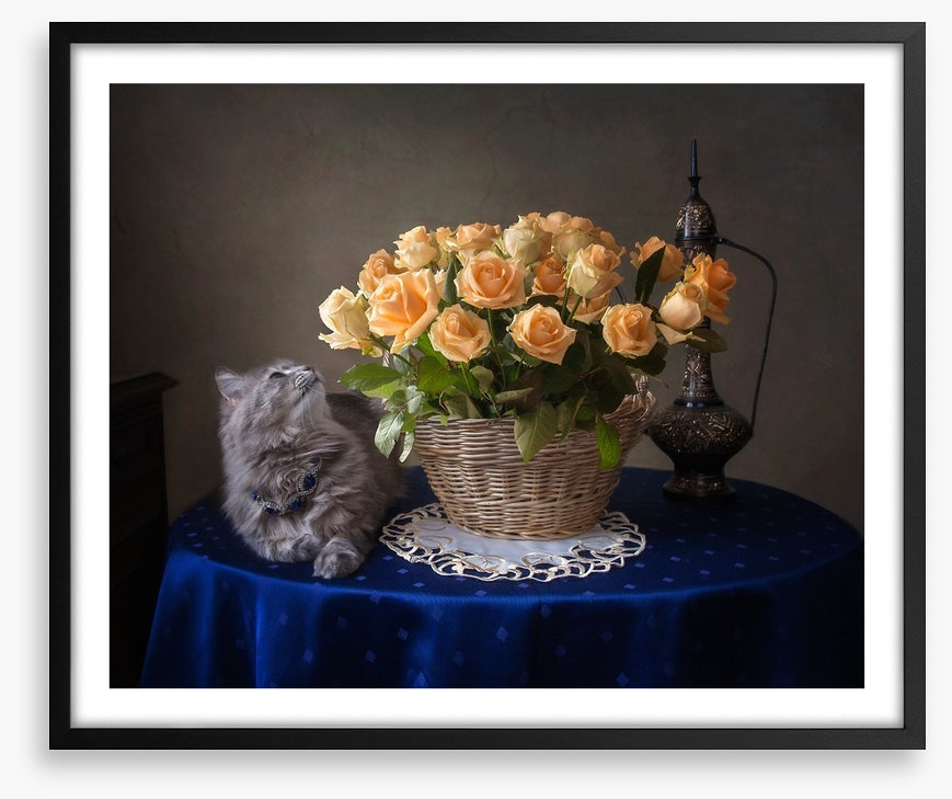 Still Life