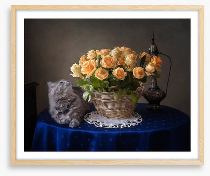 Still Life