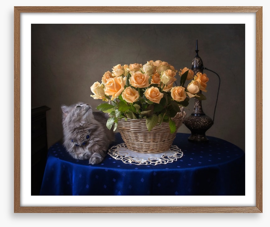 Still Life