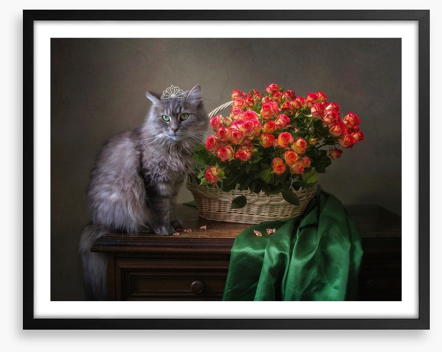 Still Life