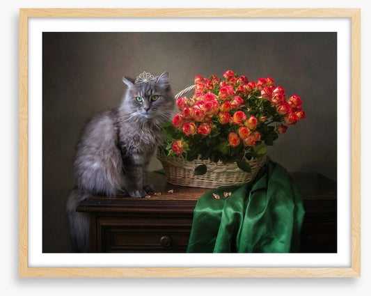 Still Life
