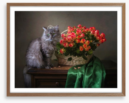 Still Life