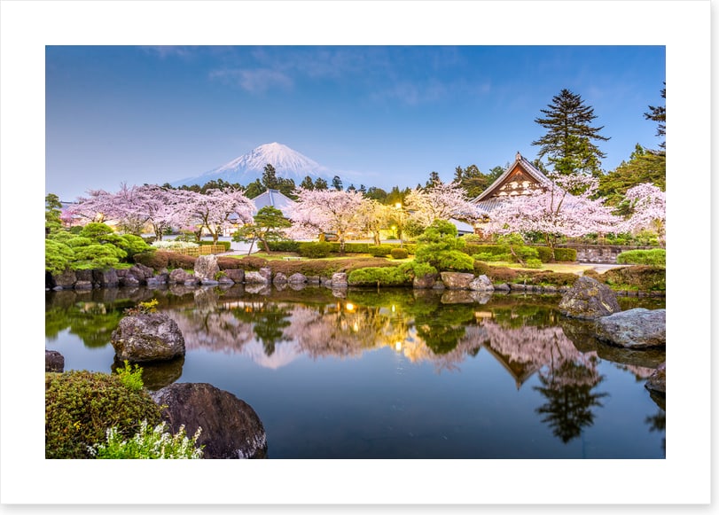 Shizuoka spring