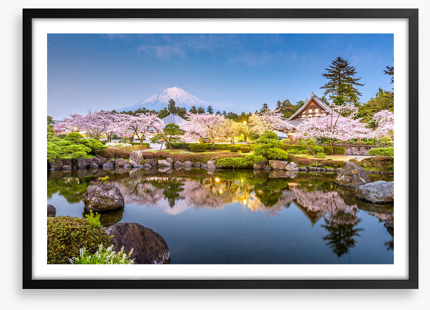 Shizuoka spring