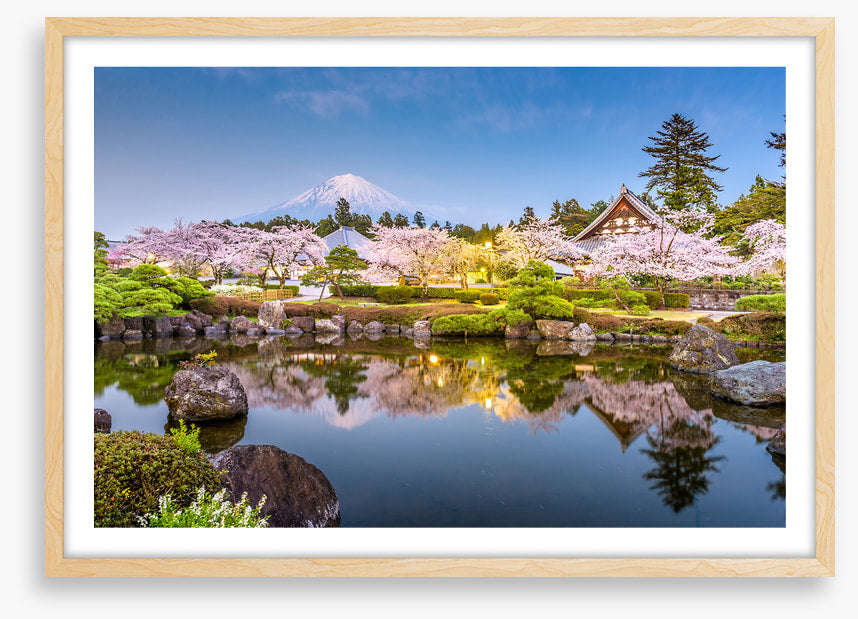 Shizuoka spring