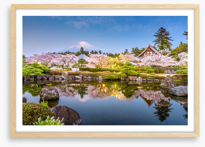 Shizuoka spring
