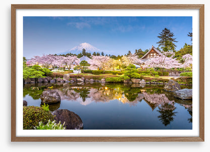 Shizuoka spring