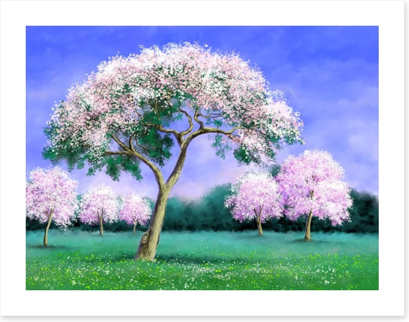 Pink blossom grove