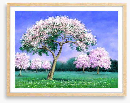 Pink blossom grove