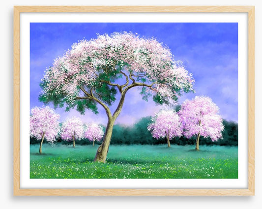 Pink blossom grove