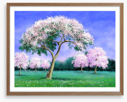 Pink blossom grove