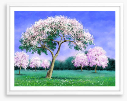 Pink blossom grove