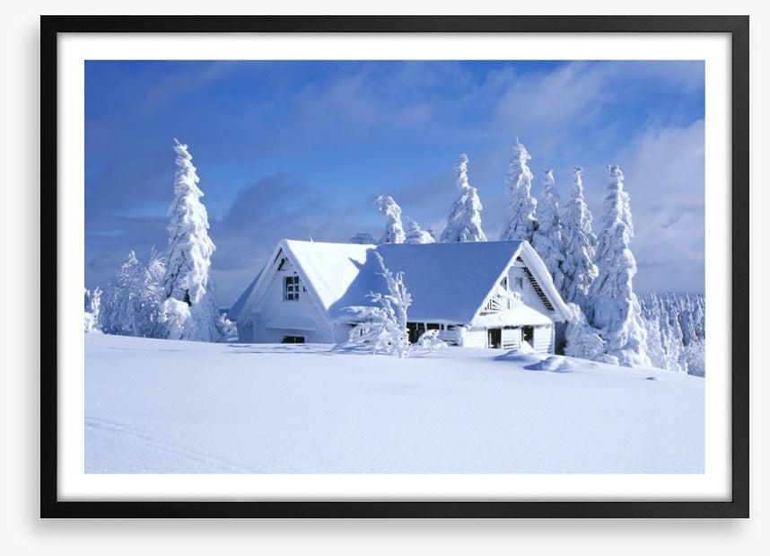 Snowed in