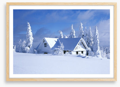 Snowed in