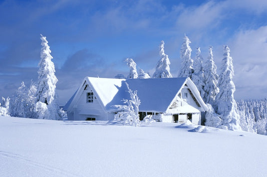 Snowed in