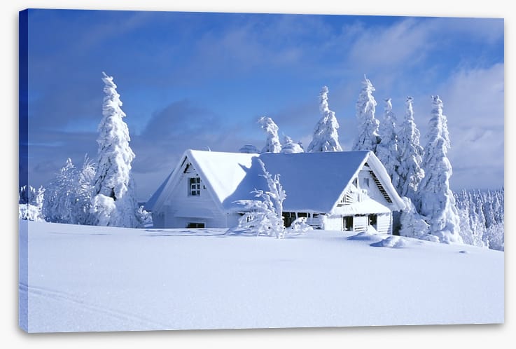 Snowed in