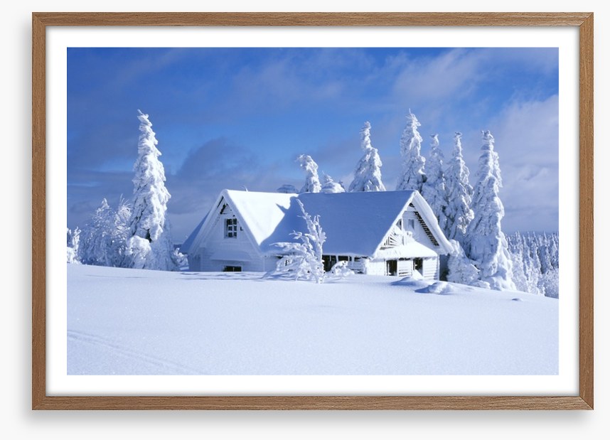 Snowed in