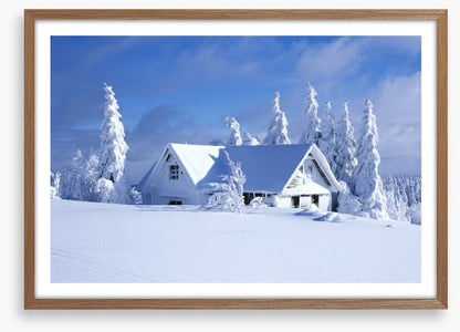 Snowed in